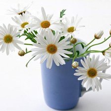 Схема вышивки «ромашки»