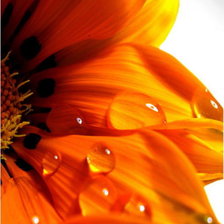 оранжевое настроение