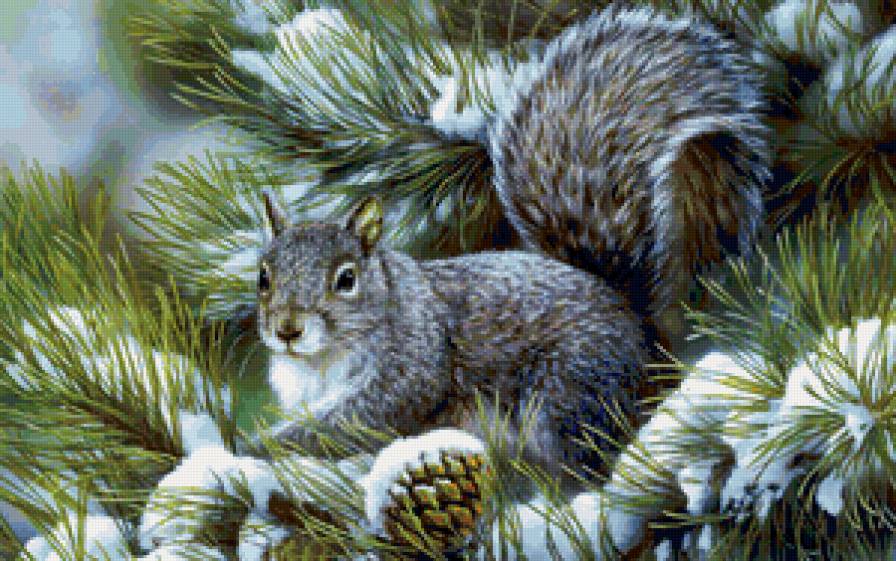 Белочка - белочка - предпросмотр