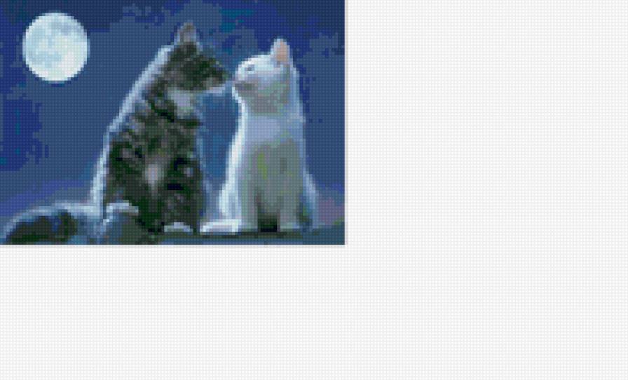 Ромео и Джульетта)) - кошка, любовь, двое, пара, кот, джульетта, ромео - предпросмотр