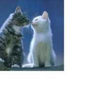 Схема вышивки «Ромео и Джульетта))»