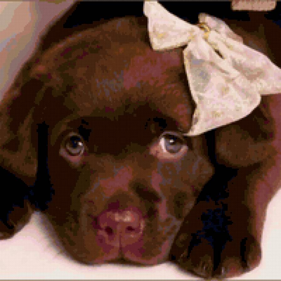 "Грустный щенок" - щенок, собаки, животные - предпросмотр