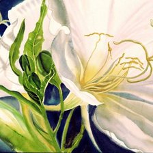 Схема вышивки «цветы»