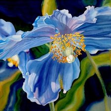 Схема вышивки «цветы»