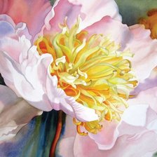 Схема вышивки «цветы»