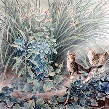 Схема вышивки «кошки»