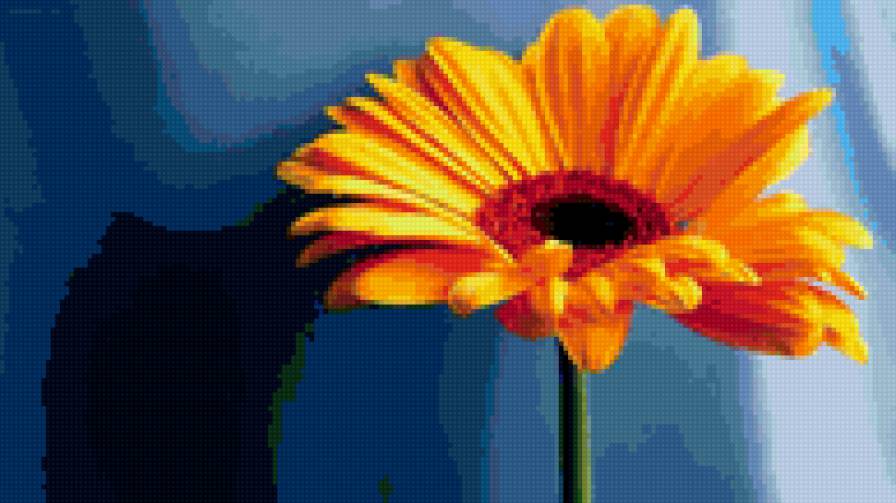 гербера - цветы - предпросмотр