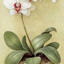 Схема вышивки «№136963»