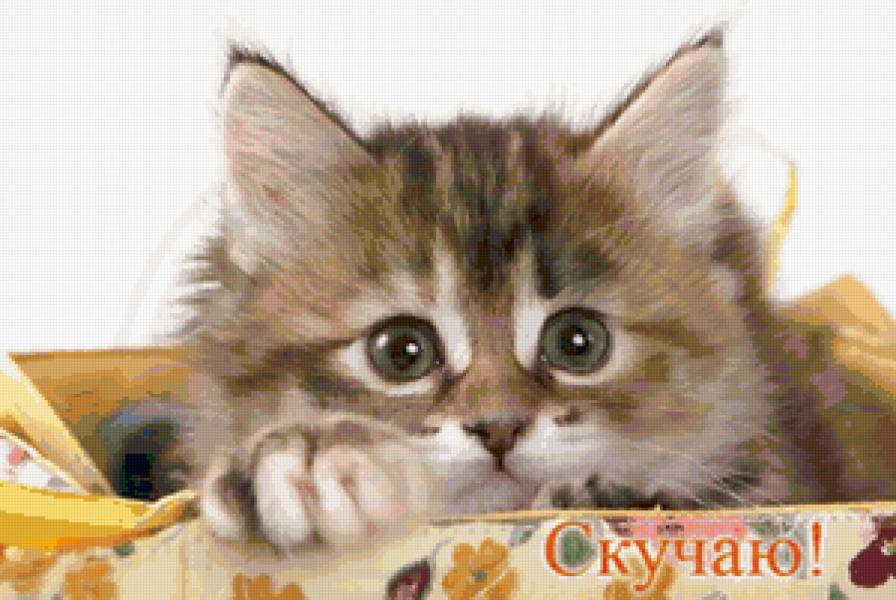 Котенок - живопись, коты, животные - предпросмотр