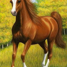 Схема вышивки «№137053»