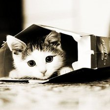 Схема вышивки «Прятки»