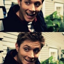 Схема вышивки «Дженсен Эклз»