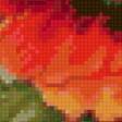 Предпросмотр схемы вышивки «маки» (№137140)