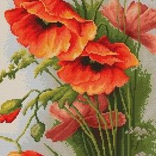 Схема вышивки «маки»