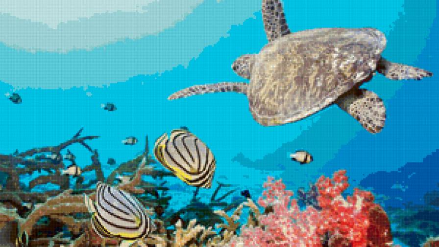 подводный мир - предпросмотр