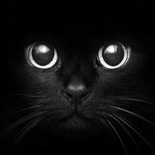 Схема вышивки «№137180»