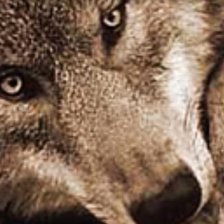 Схема вышивки «№137198»