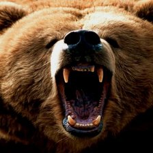 Схема вышивки «№137218»