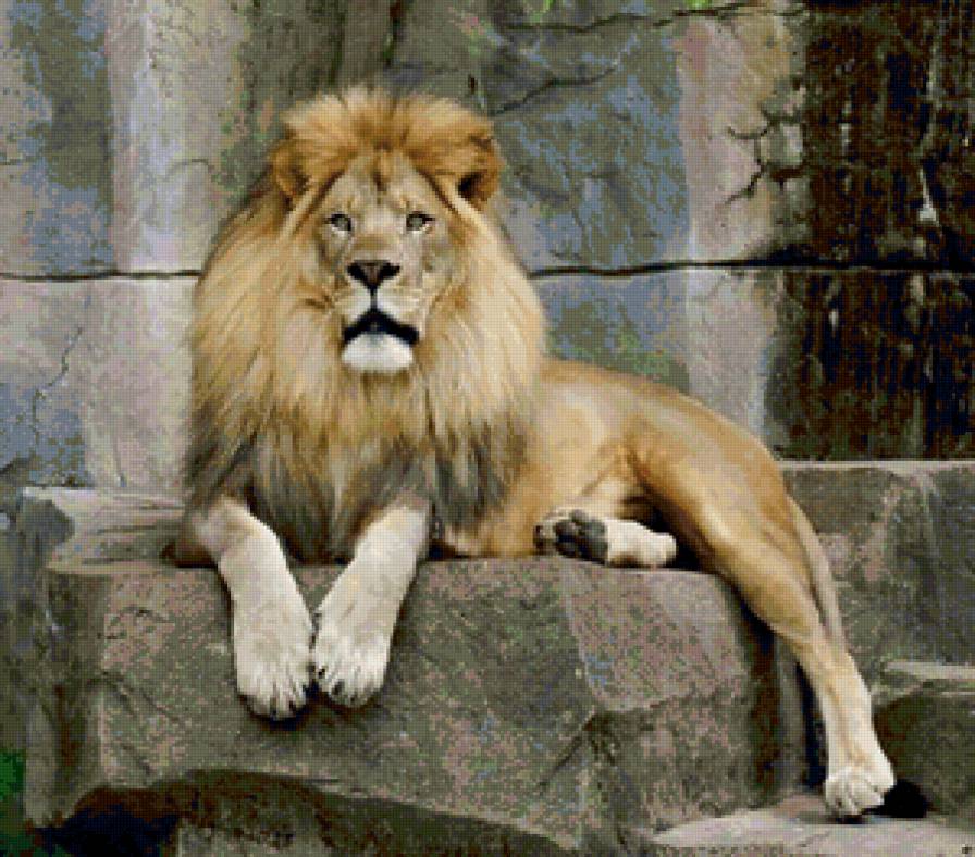 №137239 - лев - предпросмотр