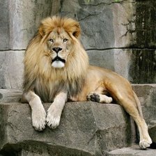 Схема вышивки «№137239»