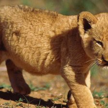 Схема вышивки «№137242»