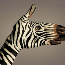 Схема вышивки «серия "Стиль-зебра"»