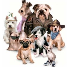 Схема вышивки «крутые песики»