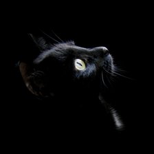 Схема вышивки «№137309»