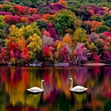 Схема вышивки «Сказка»