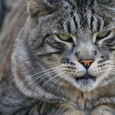 Схема вышивки «№137376»