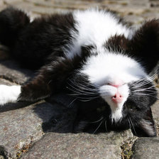 Схема вышивки «№137384»