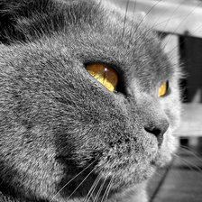 Схема вышивки «№137387»