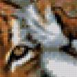 Предпросмотр схемы вышивки «тигры» (№137389)