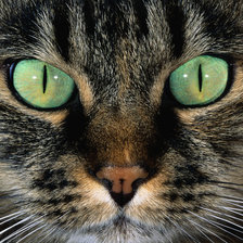 Схема вышивки «№137395»