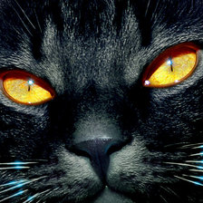 Схема вышивки «№137404»