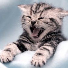 Схема вышивки «№137424»