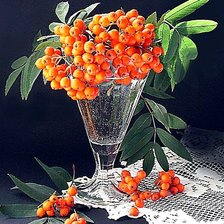 Схема вышивки «Рябина»