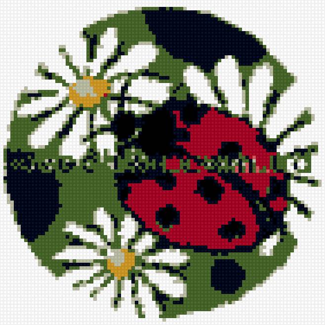 божья коровка - предпросмотр