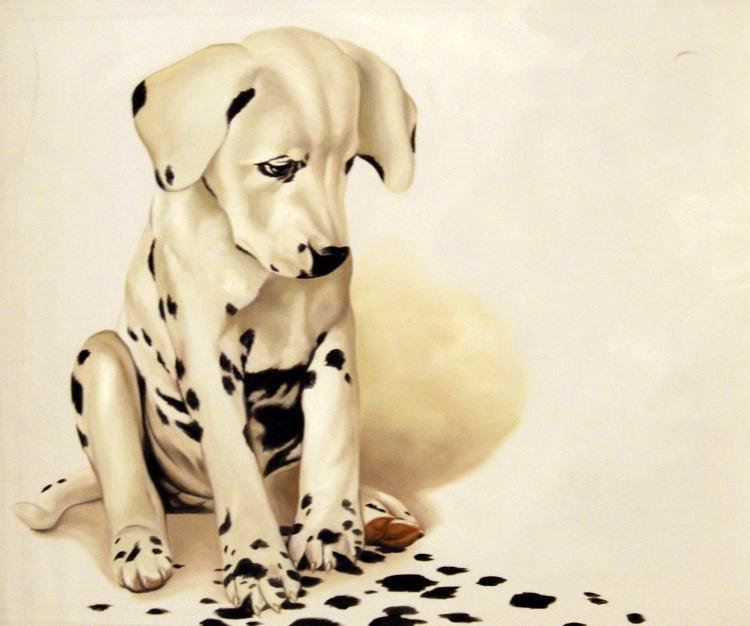 долматинец - собака - оригинал