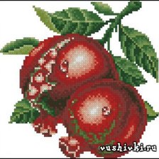 Схема вышивки «гранат»