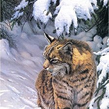 Схема вышивки «Большие кошки»