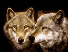 Схема вышивки «волки»