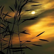 Схема вышивки «Ночь»