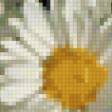 Предпросмотр схемы вышивки «ромашки» (№137900)