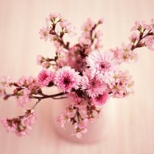 Схема вышивки «цветы»