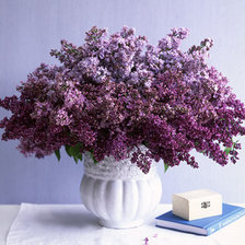 Схема вышивки «сирень»