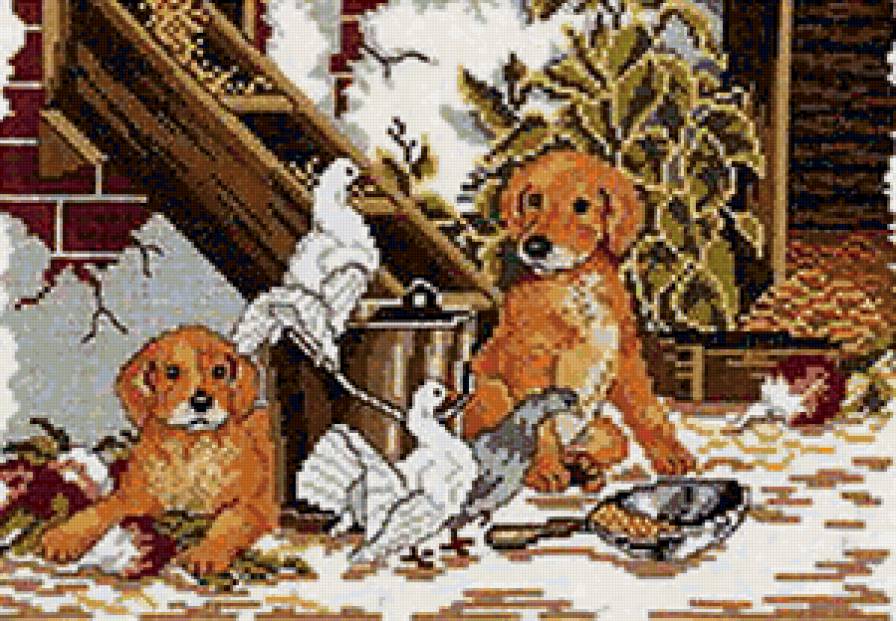 У крыльца - голуби, собаки - предпросмотр