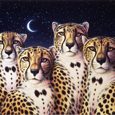 Схема вышивки «Аристократы»