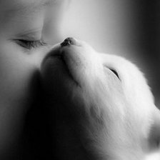 Схема вышивки «щенок и детя»