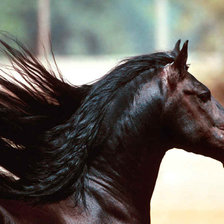 Схема вышивки «№138022»